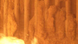 Boiler tubes during the early phase of SP ECO SOTIN chemical dosing